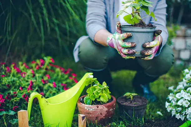 Better Home and Garden Planter