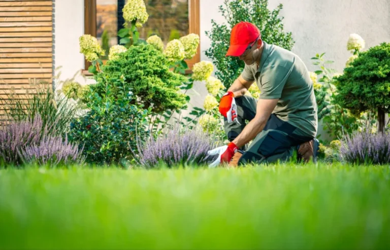 Home gardening tips