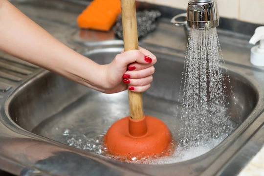 Kitchen Sink Plunger