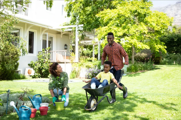garden advice homenumental