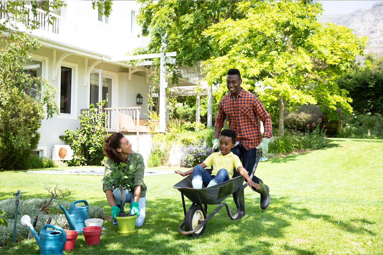 garden advice homenumental