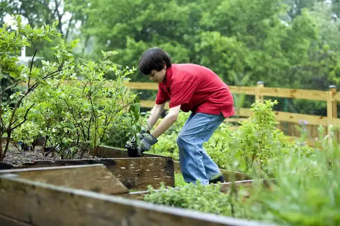garden guide homenumental