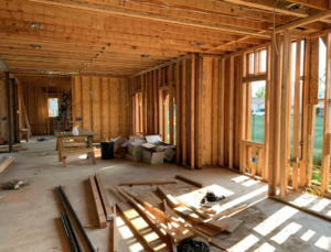 Whole Home Renovation